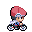 PokemonPlat cyclehero WalkE r8604.gif