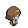 PokemonPlat bfsw2 WalkE r4949.gif