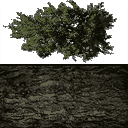 B2POIPS2-FIN P2P3.PSS-trunk-Orig.png