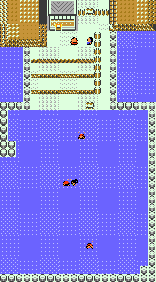 Pokemon GS SW99 Route 19.png