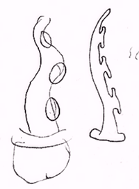 File:Dott pre tentacles.png