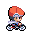 PokemonPlat Development cyclehero WheelieE r6397.gif