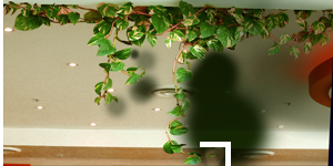 Undertale Omega Flowey Vines 1 hidden alpha.png