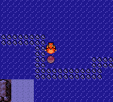 Pokemon GS SW99 Hidden Item Route 41.png