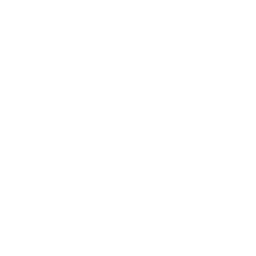 RDR2-mpmissmarkers256-survival icon.png