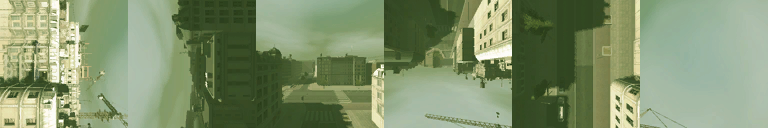 RAIDWW2 cubemap forest.png