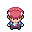 PokemonPlat hero WalkS r8604.gif