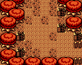 ZeldaOoS-OnoxCastle AutumnVariant2.png