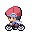 PokemonPlat cyclehero WalkW r8604.gif