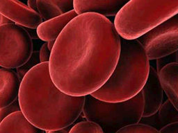 PokemonHGSS VER20090625 ld arceus micro02.png