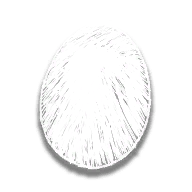 RDR2-hd 0-inventory items-provision chicken egg.png