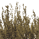 B2POIPS2-FIN DSTL.PSS-DST shrub2-Rerel.png