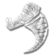 RDR2-hd 0-satchel textures-provision bobcat claws.png