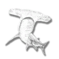 RDR2-hd 0-satchel textures-animal shark hammerhead.png