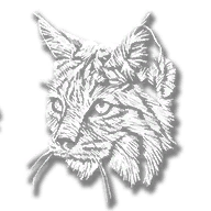 RDR2-hd 0-satchel textures-animal bobcat.png