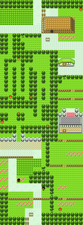 Pokemon GS Final Route 2.png