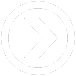 RDR2-mpmissmarkers256-corona point.png