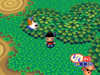 File:Animalforest field3copper.png