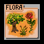 EditorFLORA.png