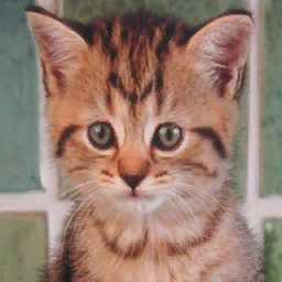 WipEout HD Fury Kitten.png