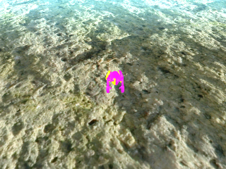 Looks like a frog or something