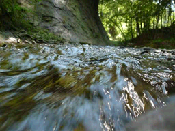 PokemonHGSS nature05 ld arceus unused.png