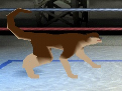 Doggo's gonna kick your ass.