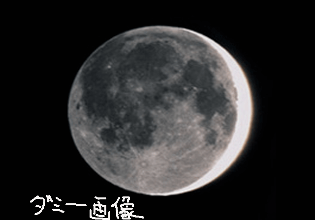 Metal Wolf REV - Unusedimage4.png