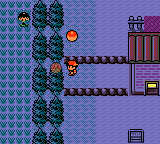 Pokemon GS SW99 Hidden Item Route 43.png
