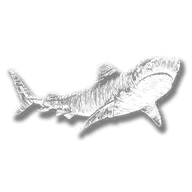 RDR2-hd 0-satchel textures-animal shark tiger.png