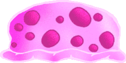 Sbspss motherjellyfish backup.png