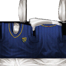 BullySEWii S Sweater 5.png