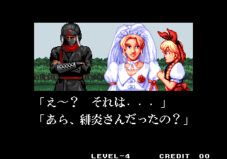 Sonicwings3 ellen end-2.png