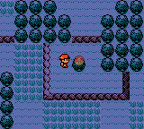 Pokemon GS SW99 Mt Silver Hidden Item.png