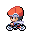PokemonPlat Development cyclehero WheelieW r6397.gif