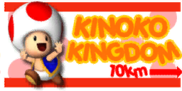 MKAGPDXToadCupTestBannerTexture.png