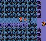 Pokemon GS SW99 Viridian City Hidden Item.png