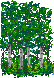 MM4Demo DTree1.png