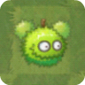 PVZ2CChestnutUnusedCostume.png