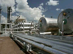 PokemonHGSS VER20090625 ld arceus culture02.png