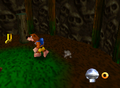 BanjoKazooie-finalmumbohut1.png