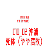 AITSF1 c10 02 dummy -3001935.png