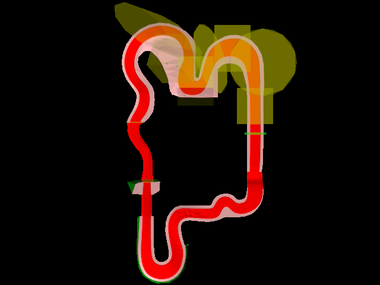 MKWii old mario gc hayasi AREA.png