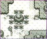 LOZ LA MWTarin NP May1993.jpg