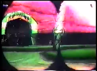 DK64 prerel archleaves.png