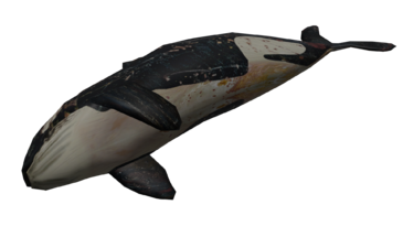 AW Dead Orca.png