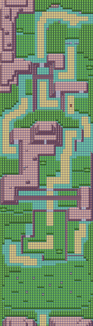 PKMNRS-Route 119 xls.png
