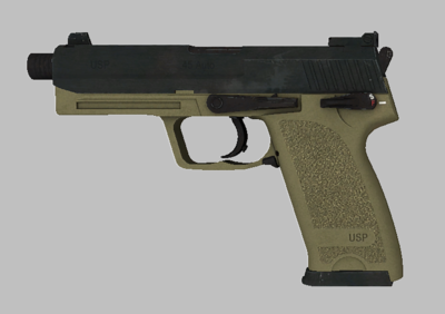 CSGO-Leaked USP.png