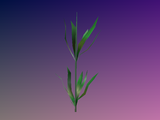 SonicAdventure MizukusaB.png