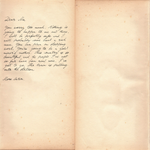 RDR2-ui letter newsboy.png